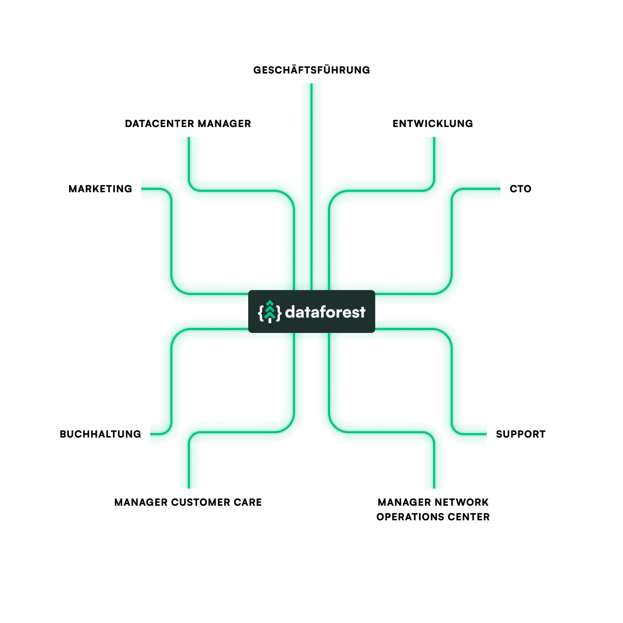 Organigramm des dataforest Teams